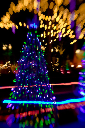 VanDusen Lights
