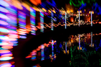 VanDusen Lights